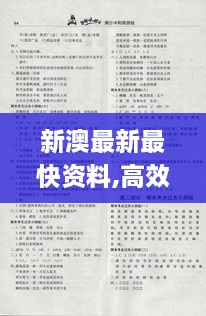 新澳最新最快资料,高效解答解释定义_复古款8.477