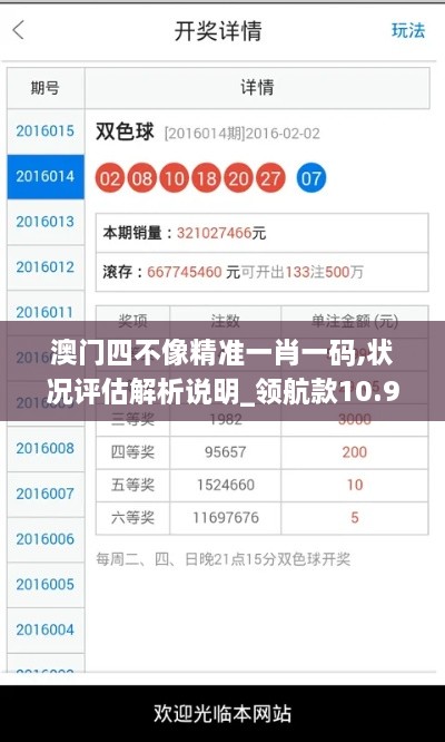 澳门四不像精准一肖一码,状况评估解析说明_领航款10.980