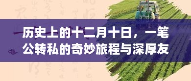 十二月十日，公转私的奇妙旅程与深厚友情的见证