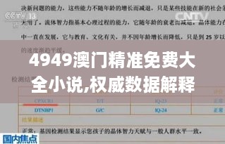 4949澳门精准免费大全小说,权威数据解释定义_MP1.822