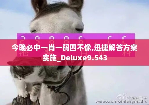 今晚必中一肖一码四不像,迅捷解答方案实施_Deluxe9.543