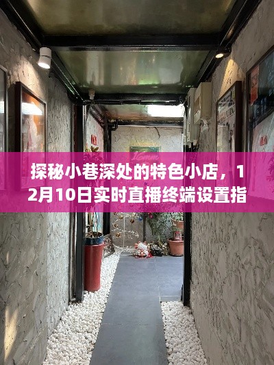 探秘小巷深处特色小店，直播终端设置指南（实时直播日期，12月10日）