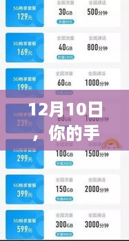 迎接挑战，实时活动点亮学习之路，自信成就之光在12月10日启动