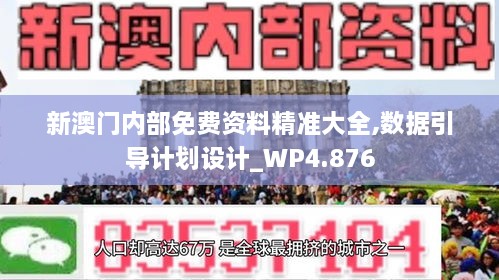 新澳门内部免费资料精准大全,数据引导计划设计_WP4.876