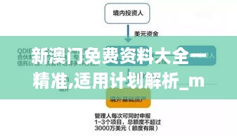 新澳门免费资料大全一精准,适用计划解析_mShop8.674