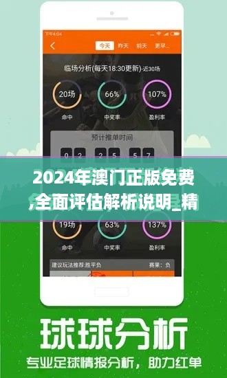 2024年澳门正版免费,全面评估解析说明_精英款9.864