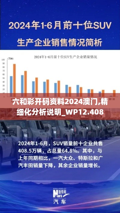 六和彩开码资料2024澳门,精细化分析说明_WP12.408