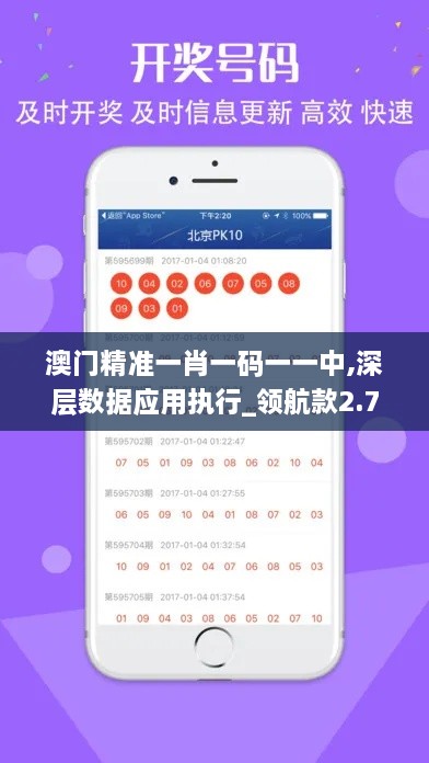 澳门精准一肖一码一一中,深层数据应用执行_领航款2.733