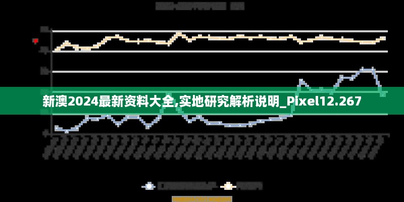 新澳2024最新资料大全,实地研究解析说明_Pixel12.267