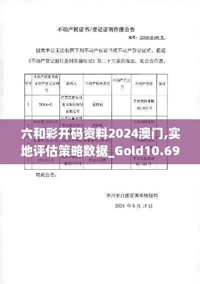 六和彩开码资料2024澳门,实地评估策略数据_Gold10.699