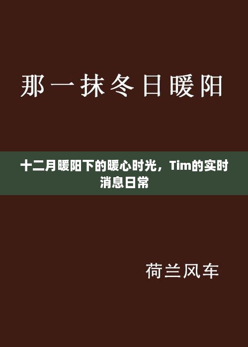 十二月暖阳下的暖心时光，Tim的实时消息日常分享