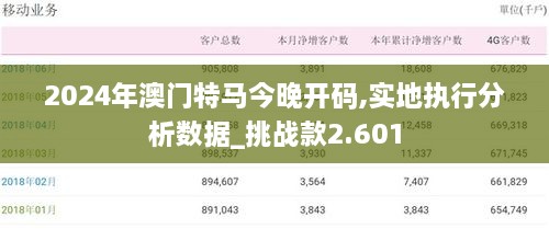 2024年澳门特马今晚开码,实地执行分析数据_挑战款2.601