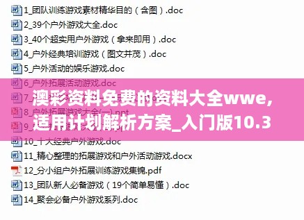 澳彩资料免费的资料大全wwe,适用计划解析方案_入门版10.346