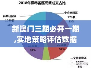 新澳门三期必开一期,实地策略评估数据_R版3.501