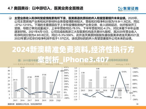 2024新澳精准免费资料,经济性执行方案剖析_iPhone3.407