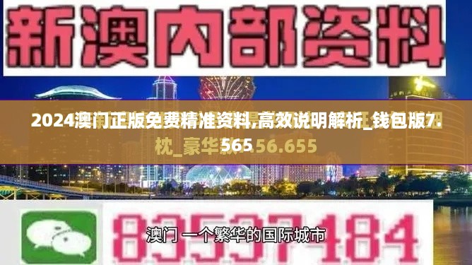 2024澳门正版免费精准资料,高效说明解析_钱包版7.565