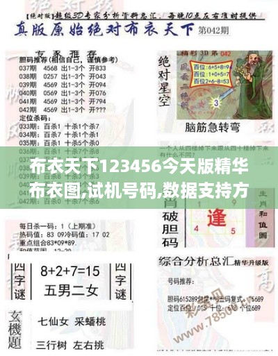 布衣天下123456今天版精华布衣图,试机号码,数据支持方案解析_N版1.406