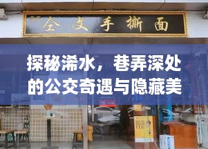 探秘浠水，巷弄深处的公交奇遇与美食小店之旅