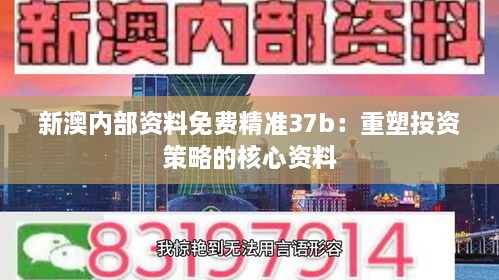 新澳内部资料免费精准37b：重塑投资策略的核心资料