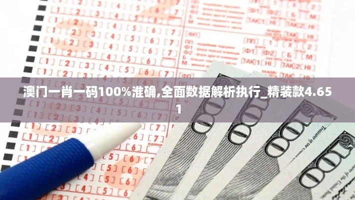 澳门一肖一码100%淮确,全面数据解析执行_精装款4.651