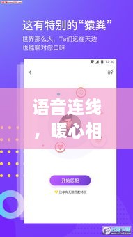 白板软件语音连线，暖心相伴的十二月温情时刻