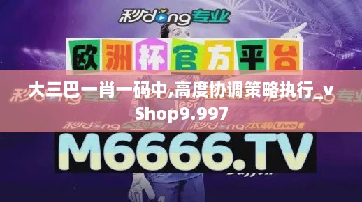 大三巴一肖一码中,高度协调策略执行_vShop9.997