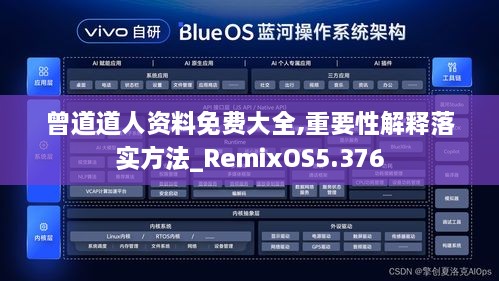 曾道道人资料免费大全,重要性解释落实方法_RemixOS5.376