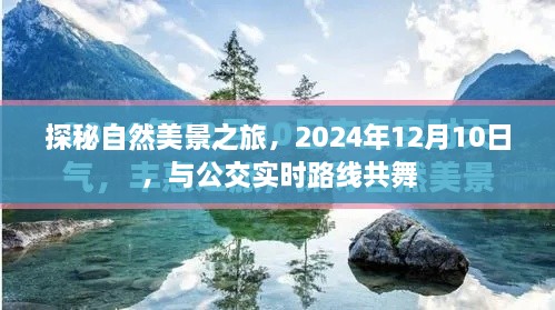 探秘自然美景之旅，公交实时路线下的共舞之旅（2024年12月10日）