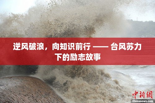 台风苏力下的知识破浪者励志故事