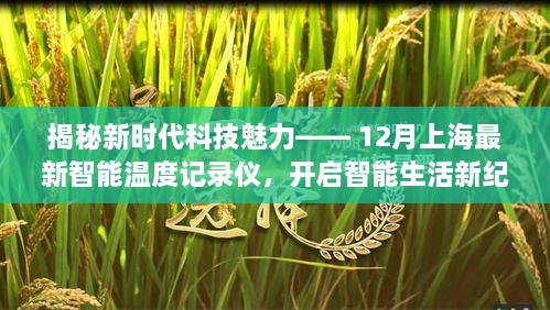 揭秘新时代科技魅力，上海最新智能温度记录仪引领智能生活新纪元！