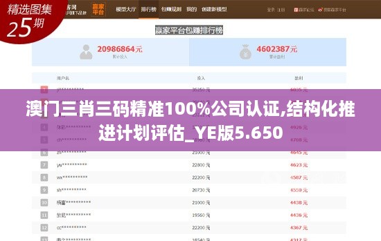 澳门三肖三码精准100%公司认证,结构化推进计划评估_YE版5.650