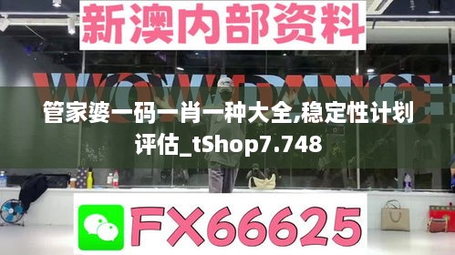 管家婆一码一肖一种大全,稳定性计划评估_tShop7.748