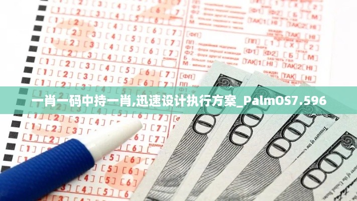 一肖一码中持一肖,迅速设计执行方案_PalmOS7.596