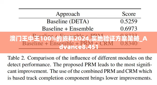 澳门王中王100%的资料2024,实地验证方案策略_Advance8.451