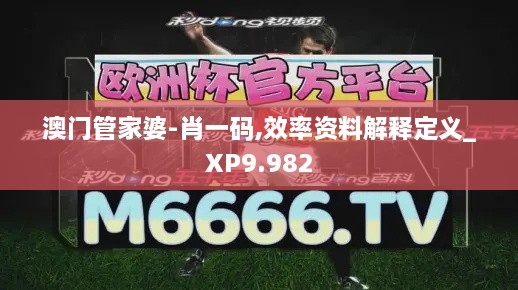 澳门管家婆-肖一码,效率资料解释定义_XP9.982