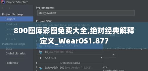 800图库彩图免费大全,绝对经典解释定义_WearOS1.877