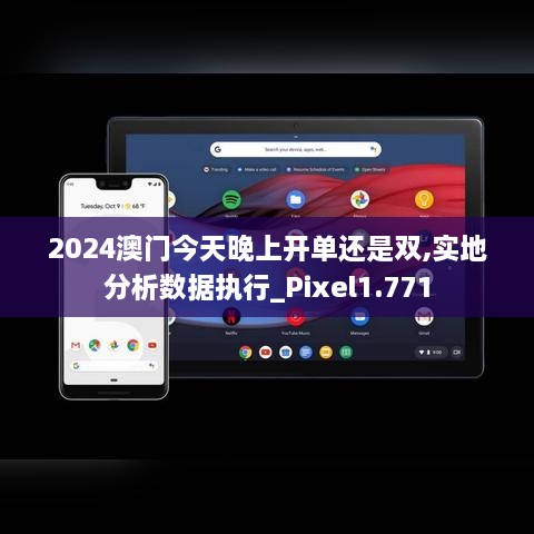 2024澳门今天晚上开单还是双,实地分析数据执行_Pixel1.771