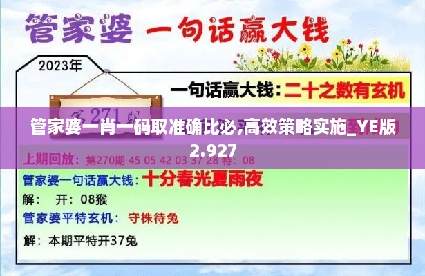 管家婆一肖一码取准确比必,高效策略实施_YE版2.927