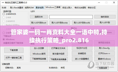 管家婆一码一肖资料大全一语中特,持续执行策略_pro2.816