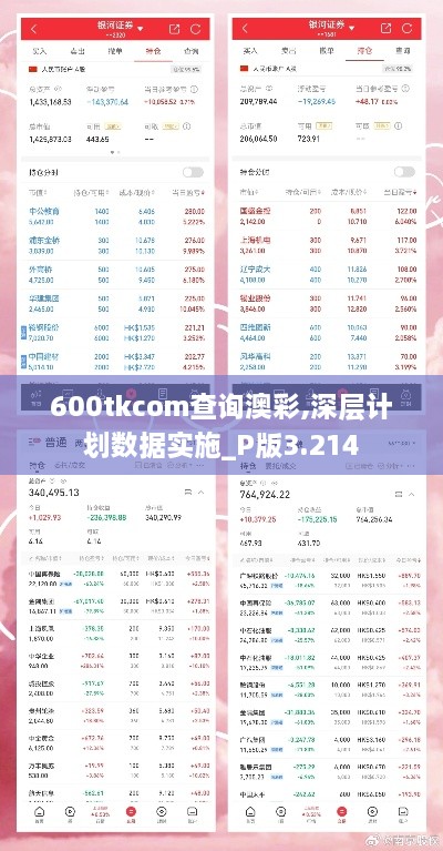 600tkcom查询澳彩,深层计划数据实施_P版3.214