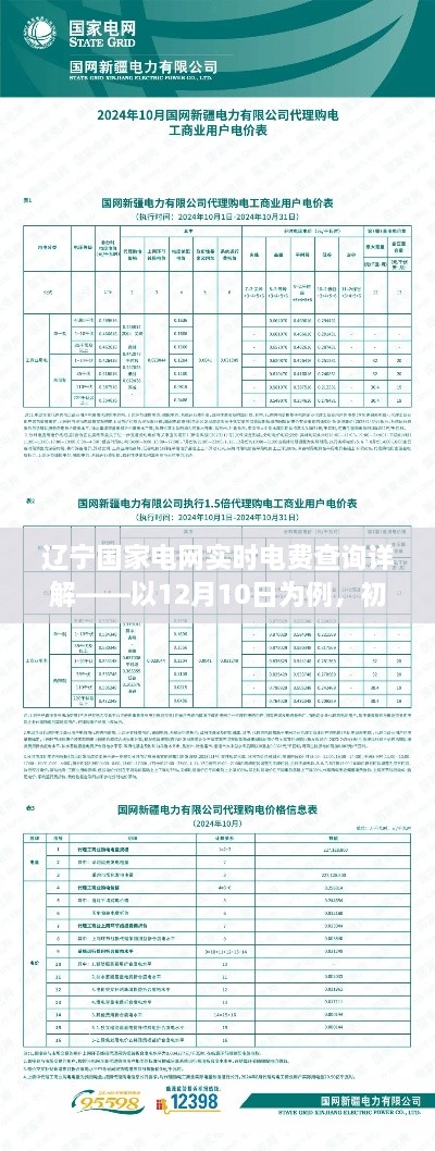 2024年12月14日 第13页