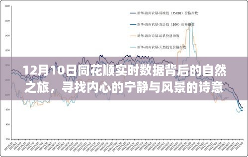 同花顺实时数据背后的自然之旅，探寻内心宁静与诗意风景的交融