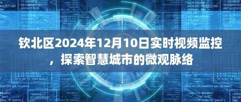 钦北区智慧城市微观脉络，实时视频监控下的未来蓝图（2024年12月10日）