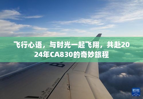 飞行心语，共赴CA830的奇妙旅程，与时光一起飞翔向2024年