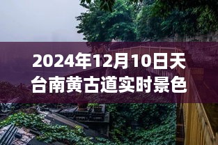 天台南黄古道，2024年12月10日实时景色猜想与古道风韵体验评析