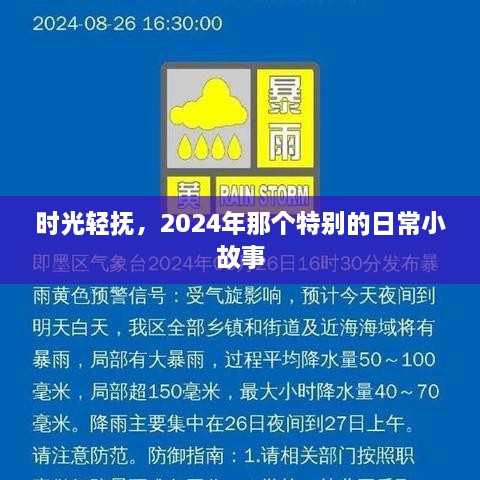 时光轻抚下的特别日常，2024年小故事