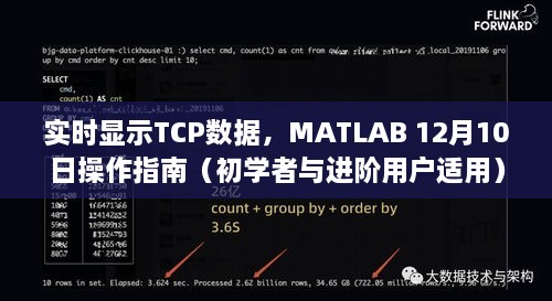 MATLAB TCP数据实时显示操作指南（适合初学者与进阶用户，12月10日版）