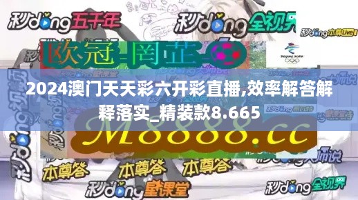 2024澳门天天彩六开彩直播,效率解答解释落实_精装款8.665