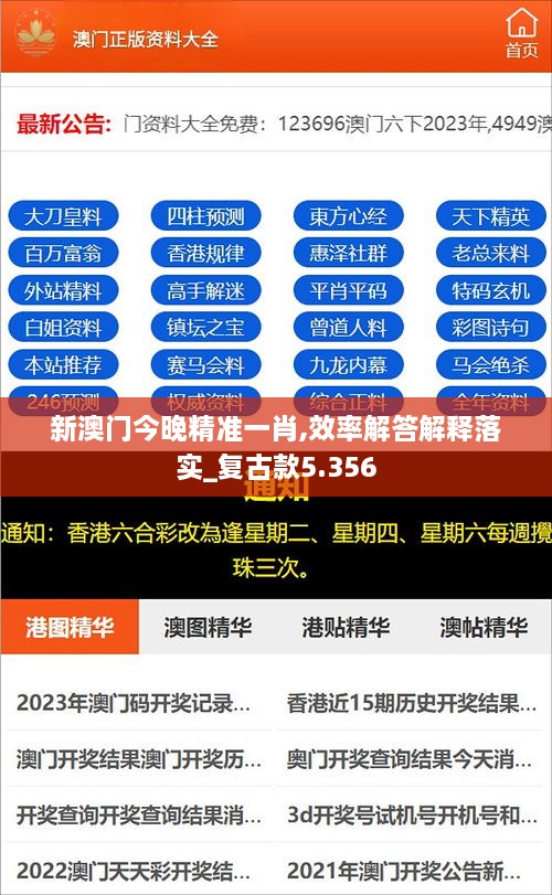 新澳门今晚精准一肖,效率解答解释落实_复古款5.356