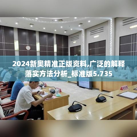 2024新奥精准正版资料,广泛的解释落实方法分析_标准版5.735